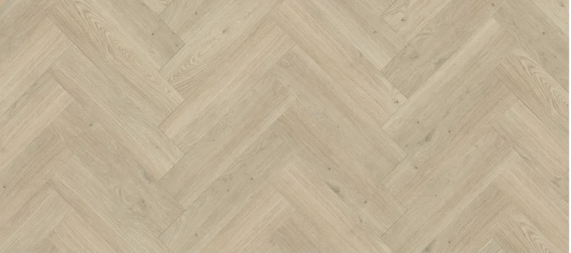 53843.jpg