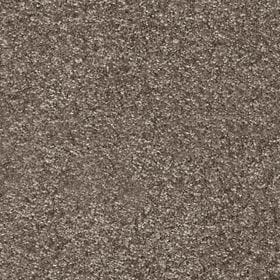 892e31ed655268418d43023384e48f44