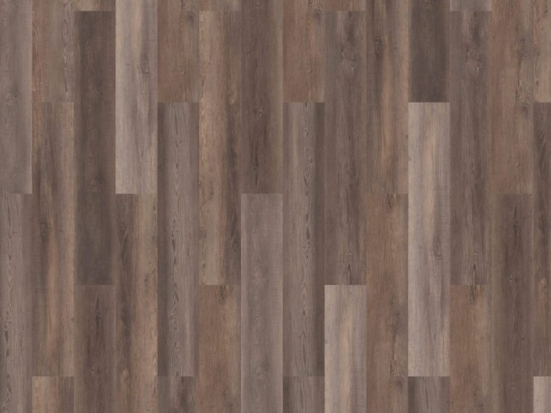 49358dde356894ae2ba182050803b9ba