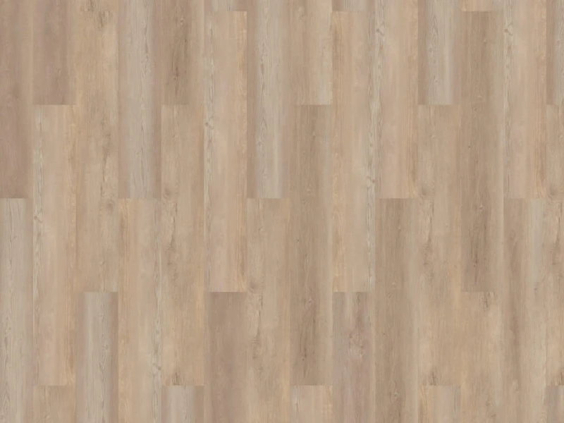 c055b760bc6f8b1454d42bf179b1fafe