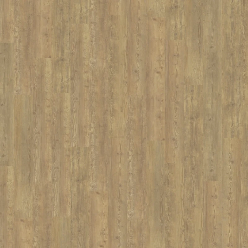 36498db66669a20f5aff1d6b3660d493