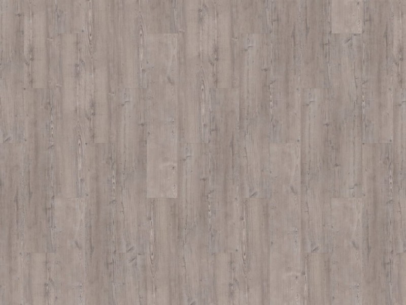 e2d337e77e3438efe53f62a2e460a65b