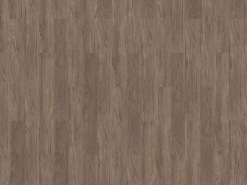 73897d00986e70f5b1e41de464fe8e9e