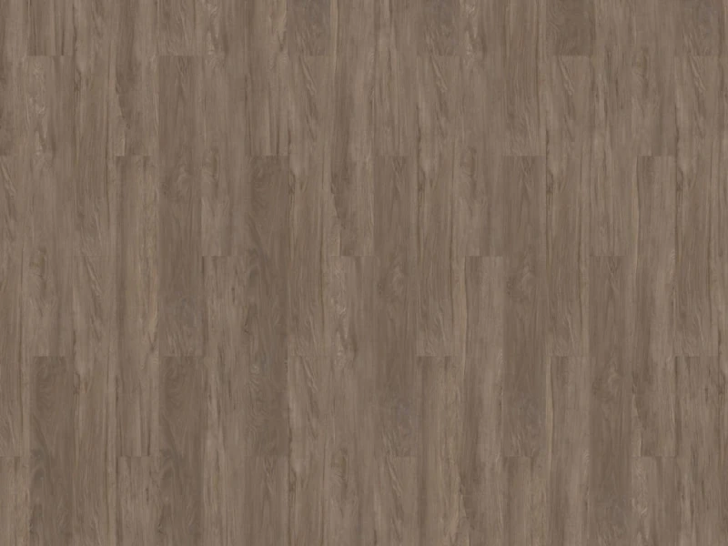 f54c1751606fd502fa85dd1d2e78054f