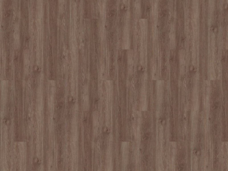 a8ddd4392d2fa5336ef2fdc4629e9092