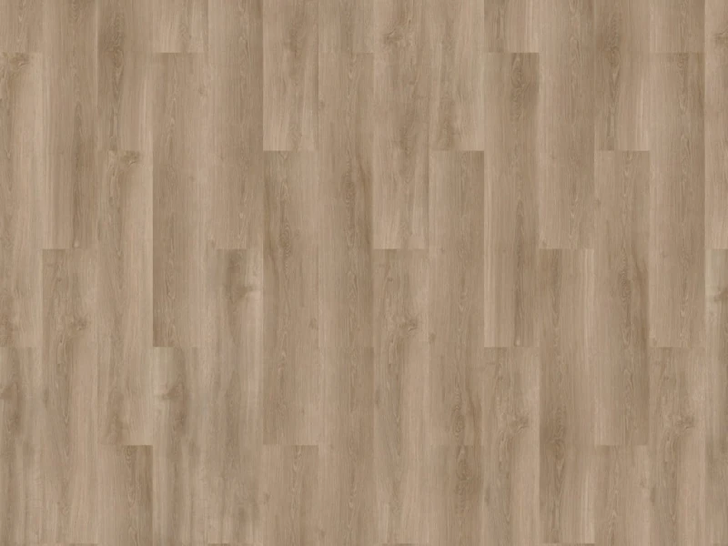 81df32241e705b6ed1aa6e7b49ecb215