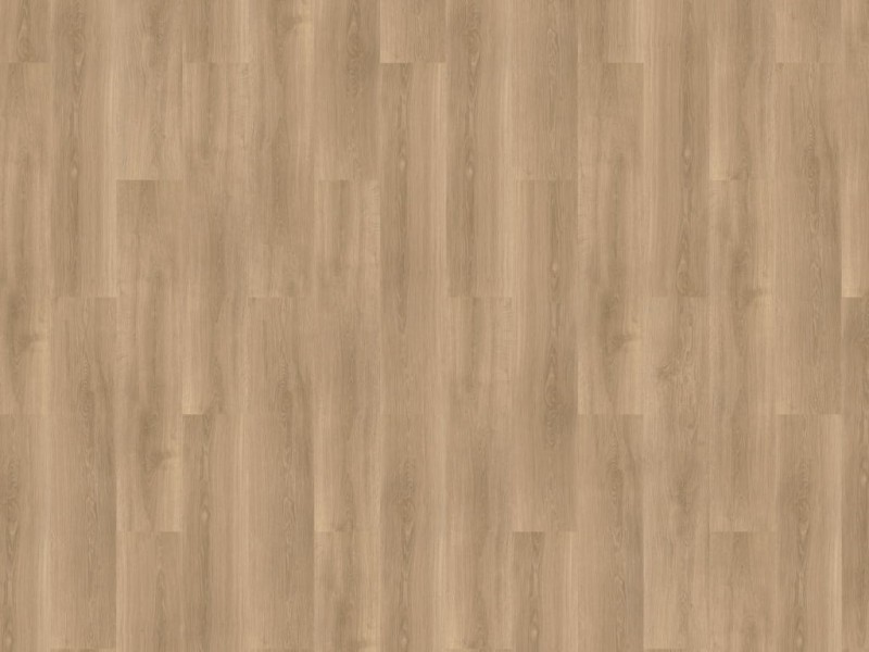c70b20c52fb5157f116385f31fc740df
