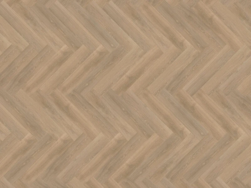 c538219b8edca9ae0c47504e4ebda556