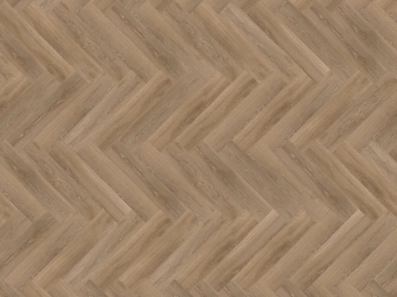 1451f0eac1fa8f7582a4565b20fe0019