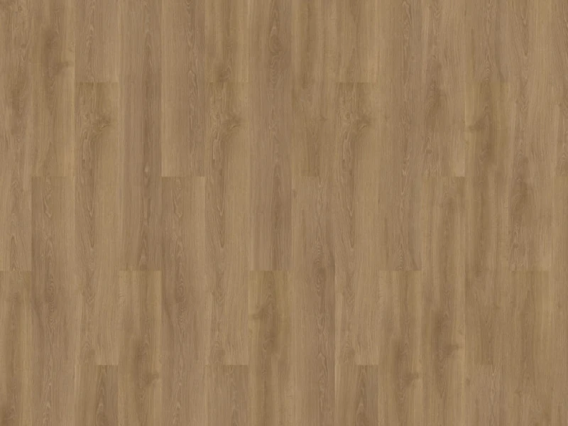 47c2a36cfbc116aa167881d23c86b660