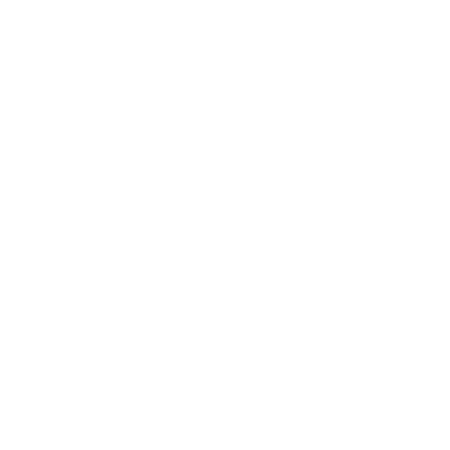 217039