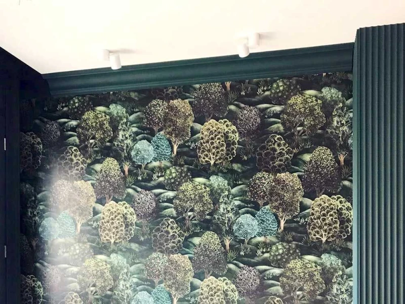 225508