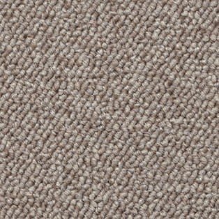 Wykładzina obiektowa Associated Weavers Maverick AW Maxima 33 Camel w rolce