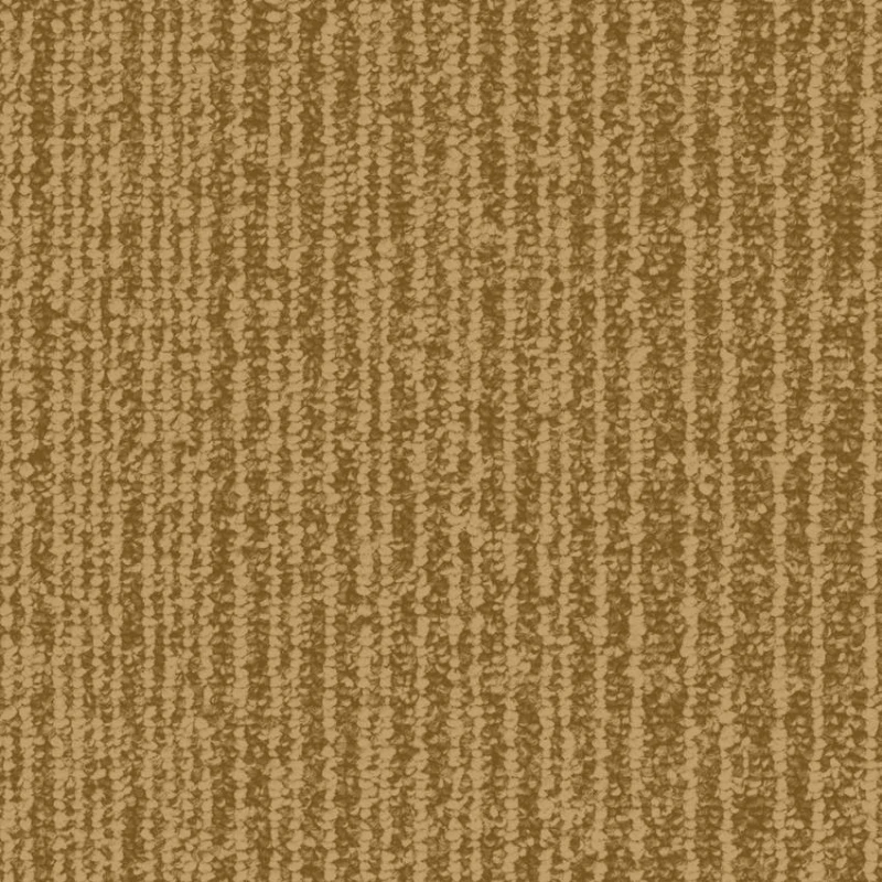 812453cc8694dc2765b64354fbcc52e7