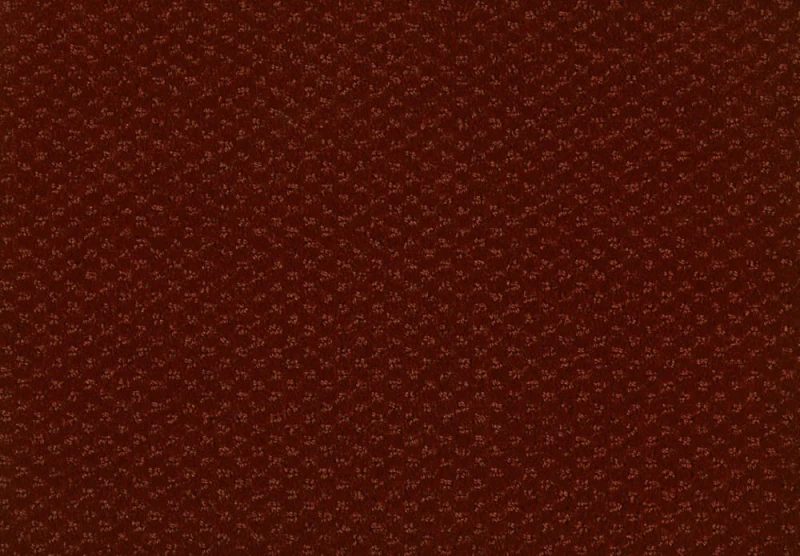 8147d525a69863c27afae6c15c5ea43b