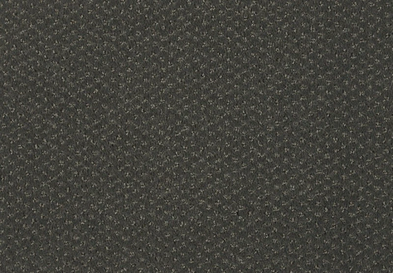 b6d006bbb2401378b94e4d1a9d3846fa