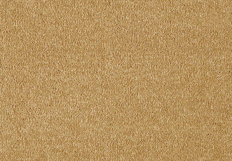 ee2204c08a327a8d602bc6e4f3163ac1