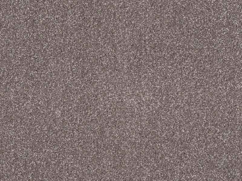 2558bc90a60d327feb4b8429be68a095