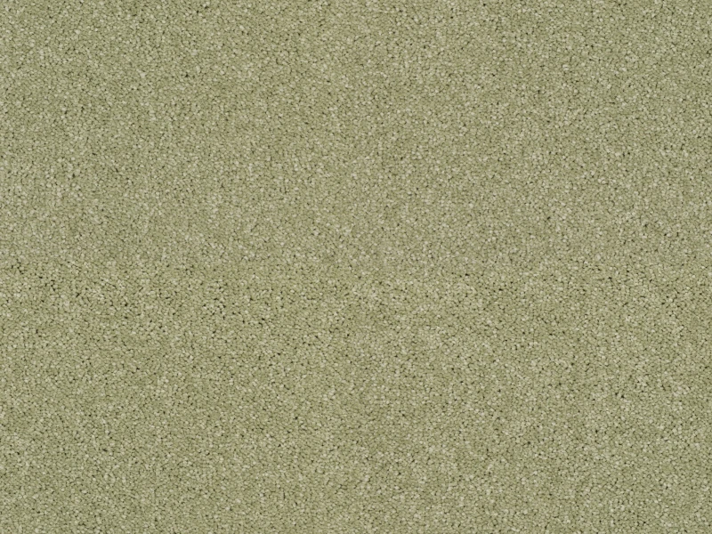 47003ed6707539f8fe96059631a64553