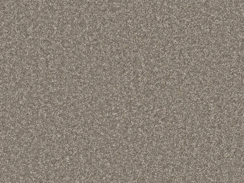 6a1876062e231a7a5dfe6b3ab5057101