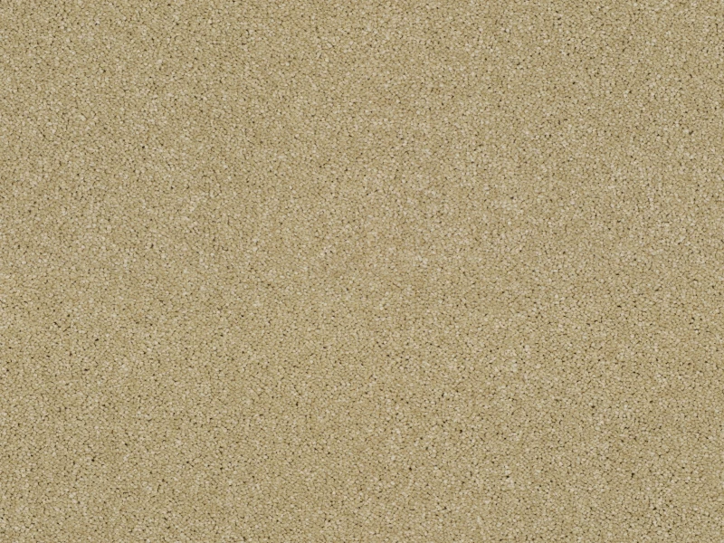 d231128564f1247d4c3757594dfa30e9