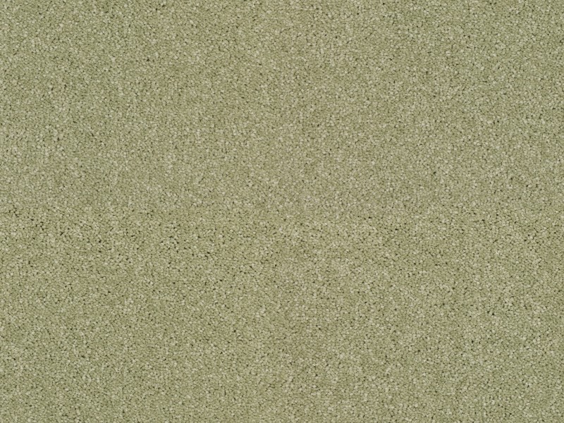 29c026ac12b30ed6c4b885d44dfbddb2