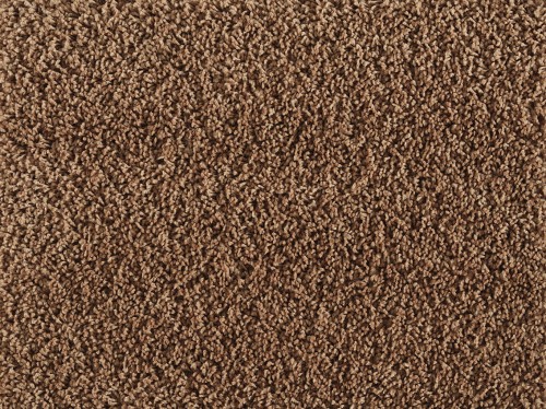 Wykładzina domowa Lano Midori Enso 220 Acorn