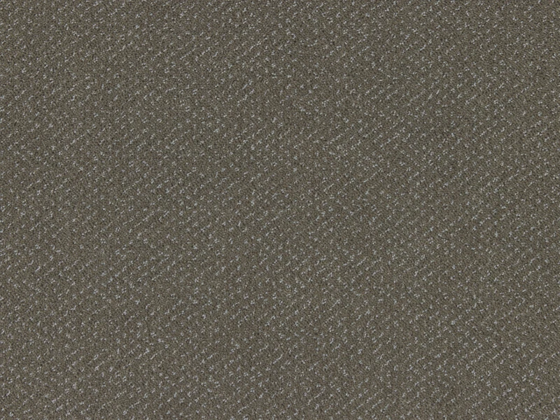 e0e22a01e924916685a40cb8c16c0cca