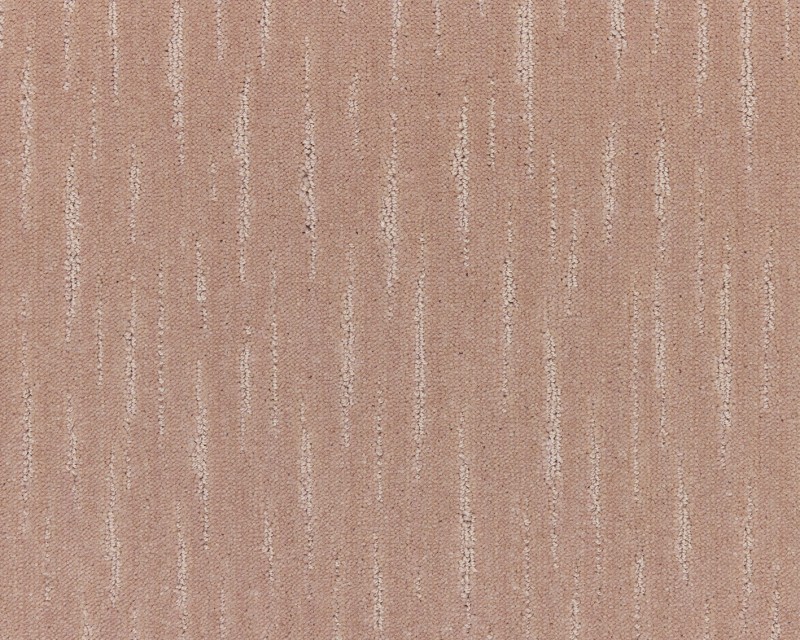 dc94c877084d7b40895fcbd8370e2581