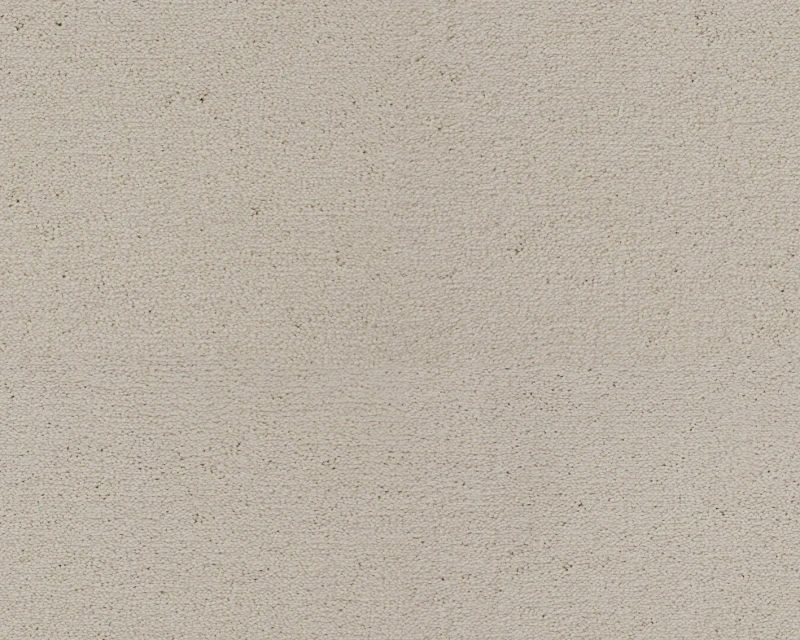 48fc5f6902410419557dddc5ce556494