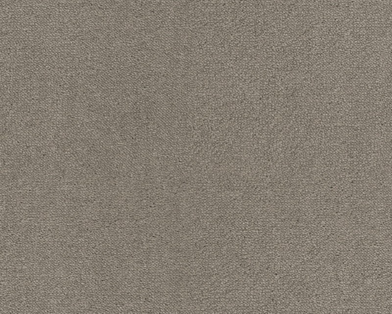 75d79593b6bbdffe3944ebecbb94fe76