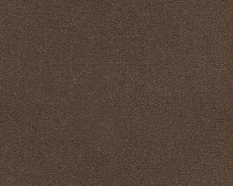 82efccf042b51e9bec26750818b788de