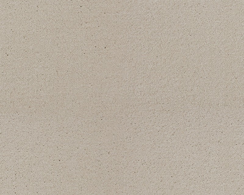 d56553091f98c0cf43b17272cd7d5ab2