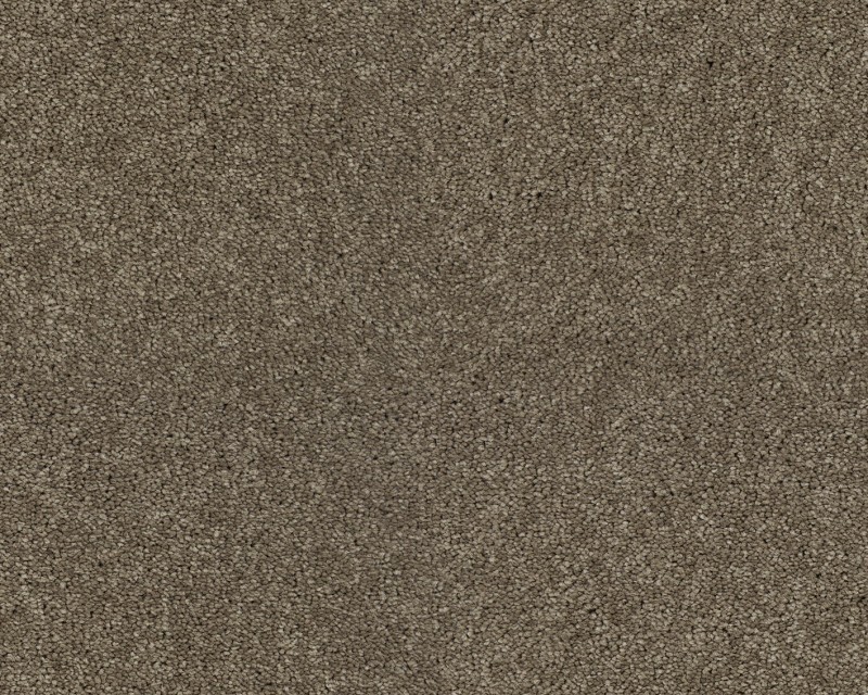 7bd1a879f6b81885877847e949c8ec44