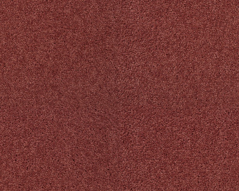 65f8d3626718483bef669756537a5ed2