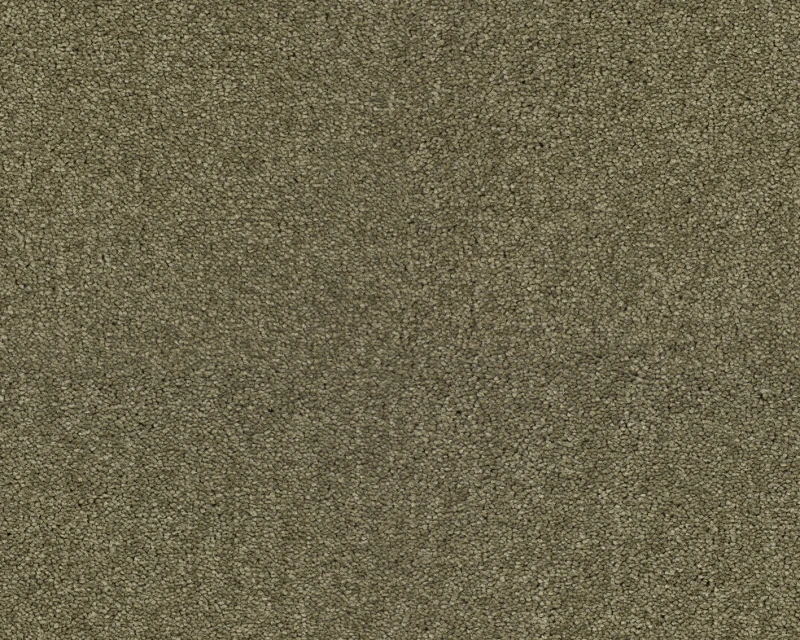 14e2325d27ccc545b9be7c5b4485eb7a