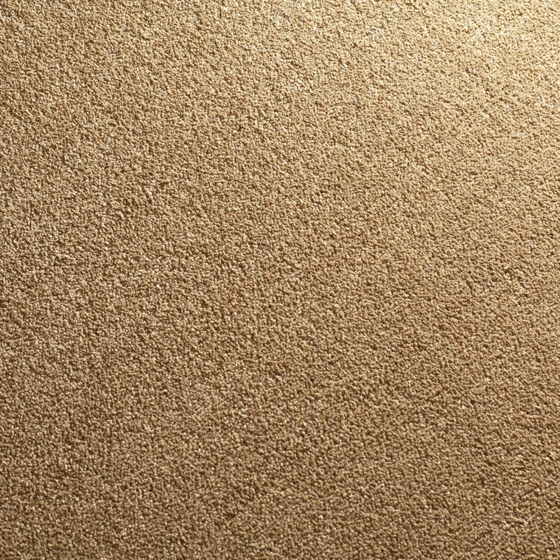 15971b9a80488200ccf5399a3437f169