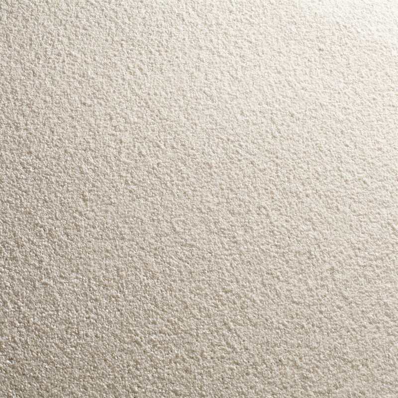 d226b1e56a4ef9a908a399479b7d00d6