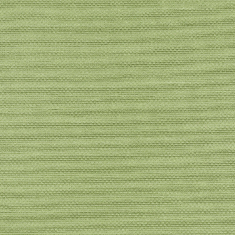 80d599c110b5cfeefa52a84f654cc8d4