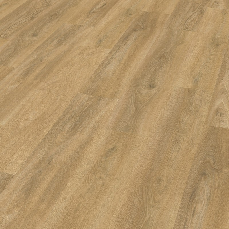 a411a20ab141d56dace689c5a35817d4