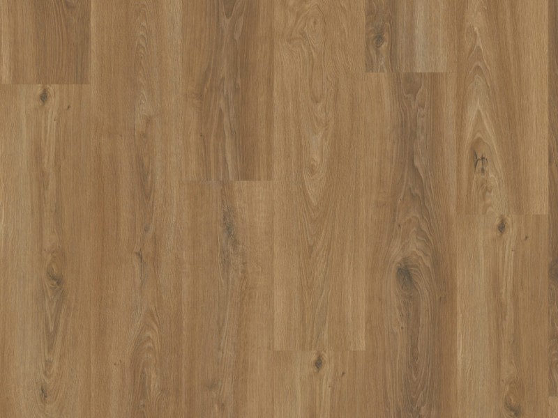 2d35cadb5772b72c2209551794b3d9dc