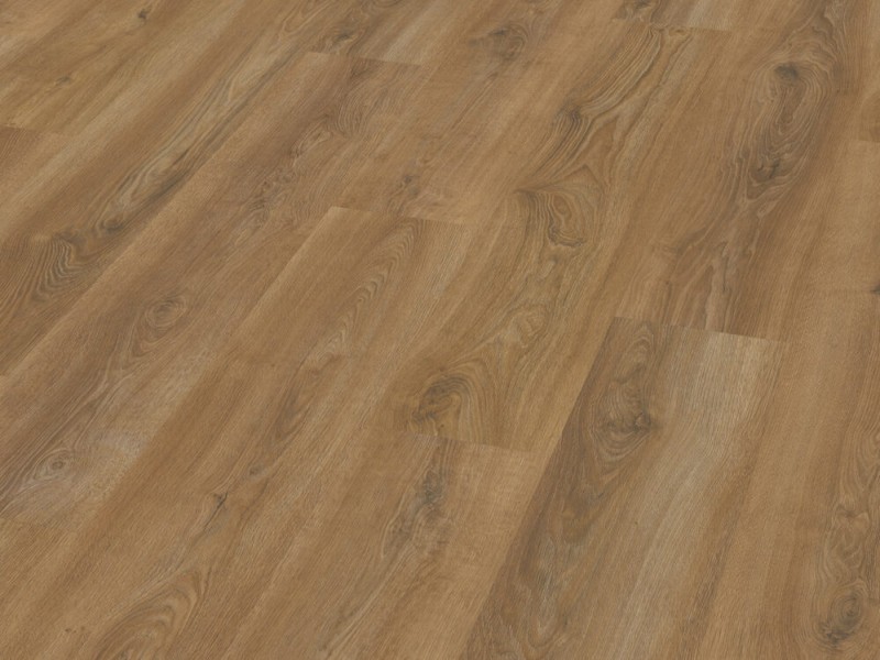 c4f03e9aa2e02ed8be74f96556bef598