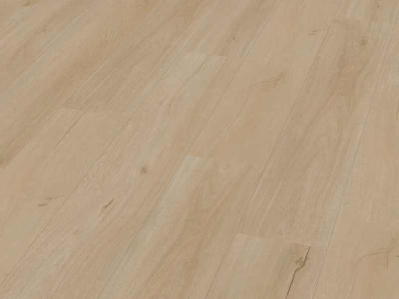 d20ae65e12a74be3aeae7cffcadec724