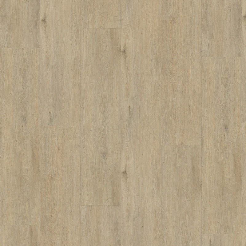 a8be5311375db31f8f369766a5eb26f9