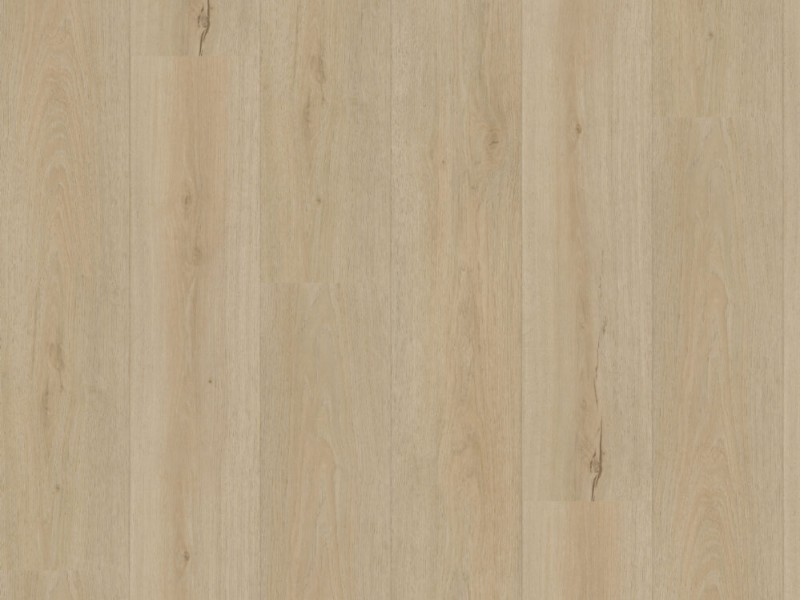 26ec00c0aa4026374650fdcc57099634