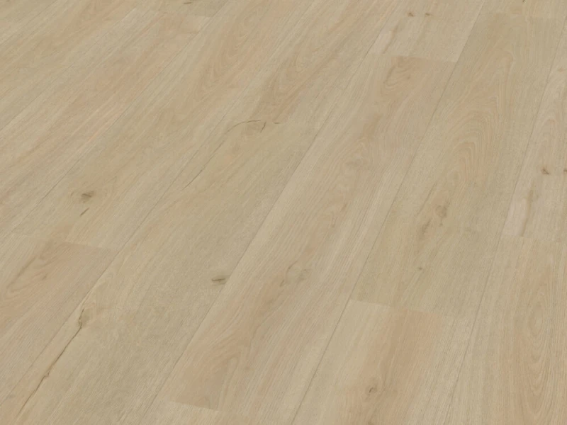 b1e85c728c4bf3f5a935674fdac12a6e