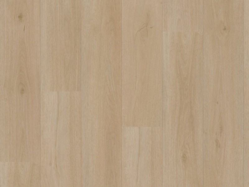 f770055db93818afaecb3098def03410