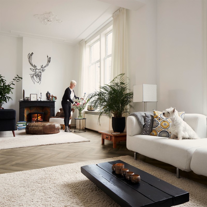 fdb3bf138e898795169856c832fad2d7