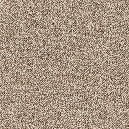 Wykładzina obiektowa Leoxx Bouclé Mix 840