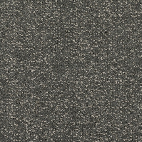 Wykładzina obiektowa Leoxx Frisky Velvet 452